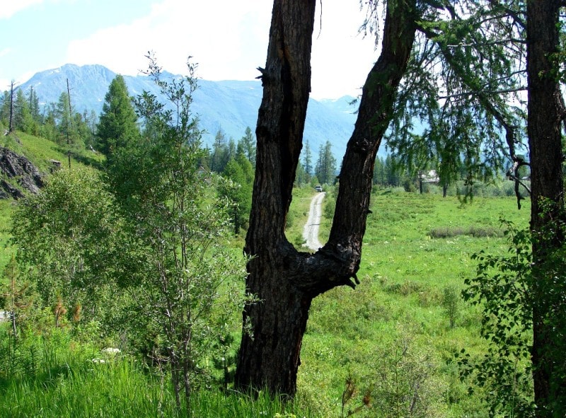 Environs of West Altai Nature Reserve.