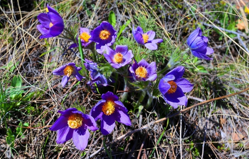 Sights of West Altai Nature Reserve.