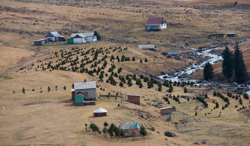 The Kind on natural boundary the Altyn-Arashan.