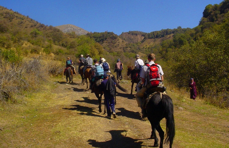 Прогулка на лошадях в горы Ферганского хребта.