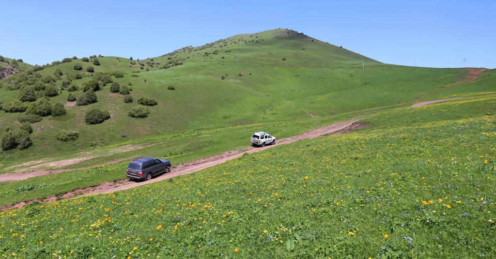 Vicinities of valley Chon-Kurchak.