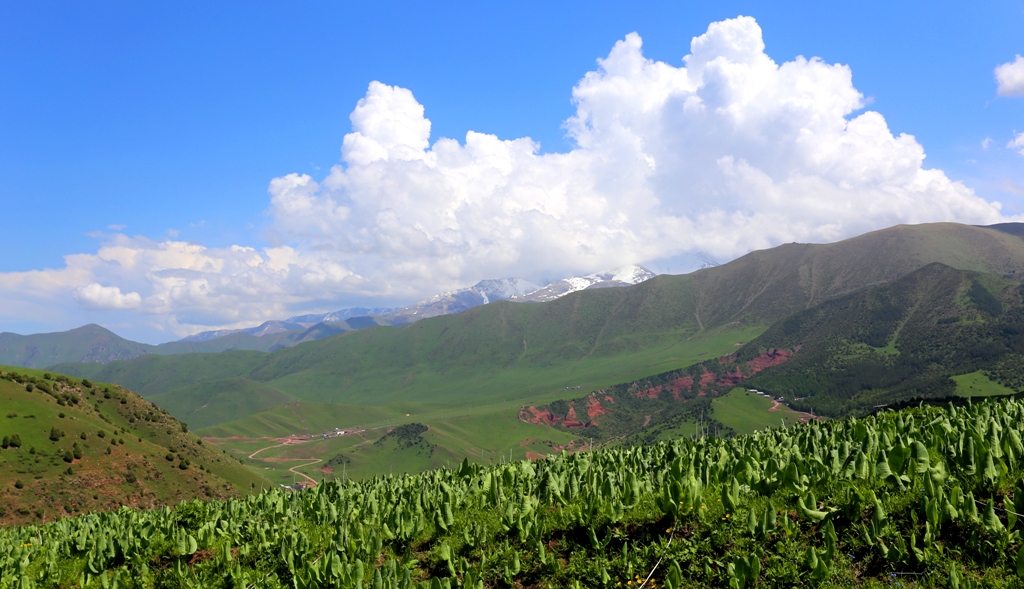 Vicinities of valley Chon-Kurchak.