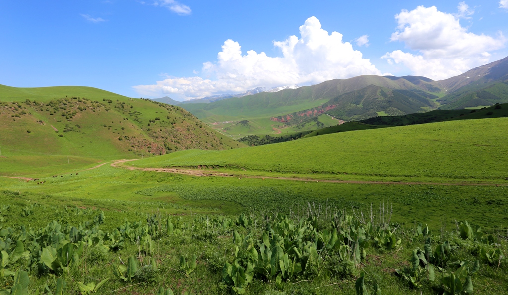 Vicinities of valley Chon-Kurchak.