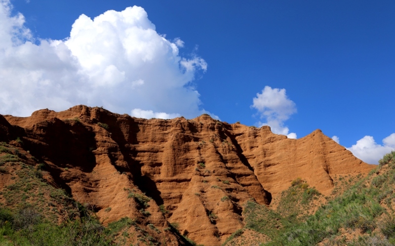 Canyon Konorchek.