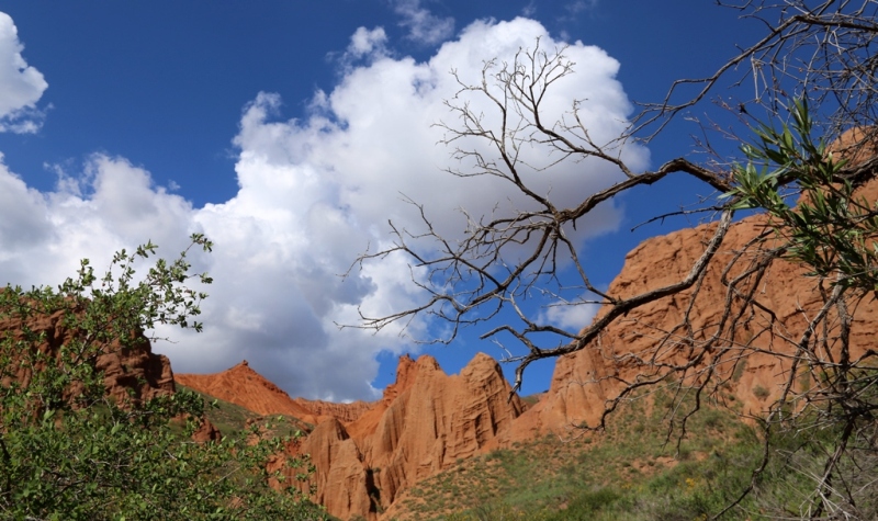 Canyon Konorchek.