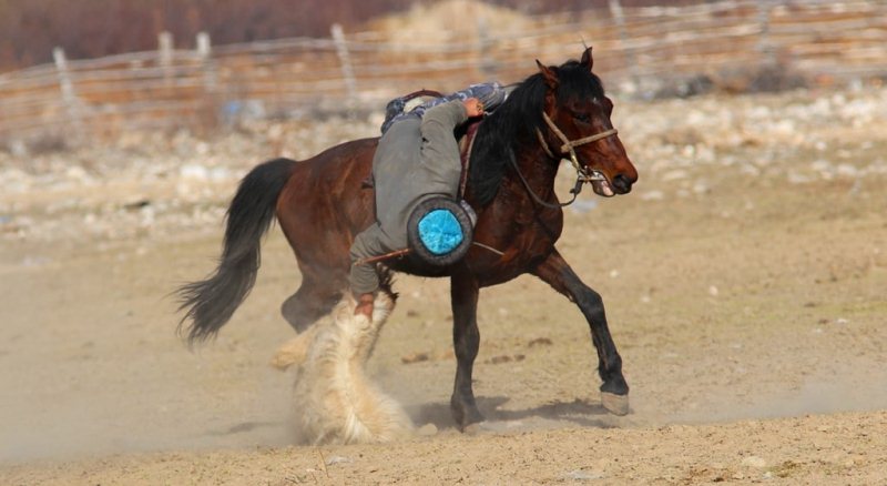 Kok-boru - national game of Kyrgyz.