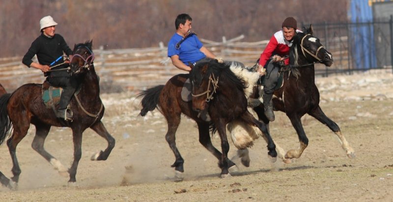 Kok-boru - national game of Kyrgyz.