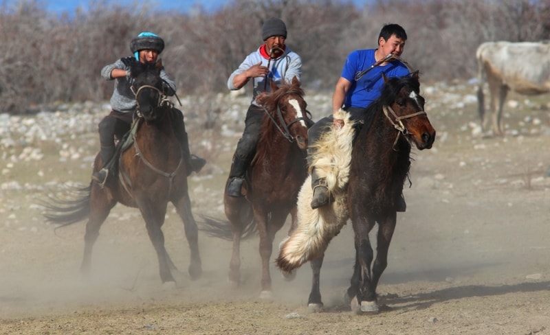  Кок-бору - национальная игра кыргызов.