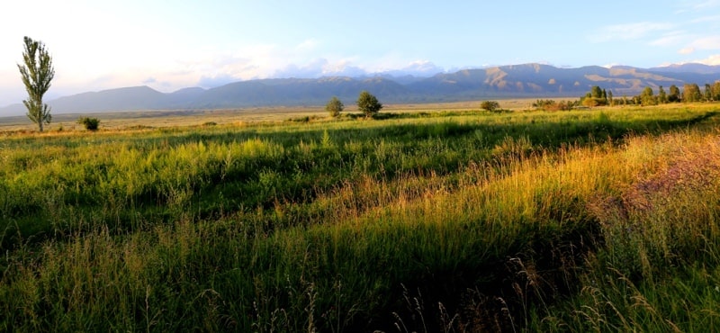 Environs of the Aksuusky archaeological complex.