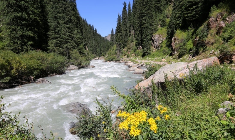 Environs of the river and gorge Arasan.