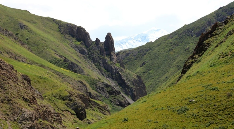 Sary-Dzhaz gorge.