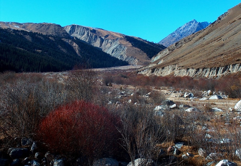 The Average part of gorge Grigoyrevskoe.