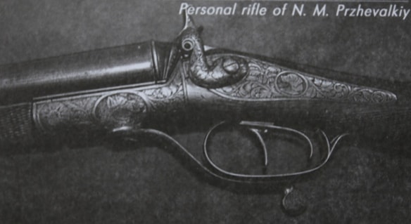 Przhevalsky's gun.