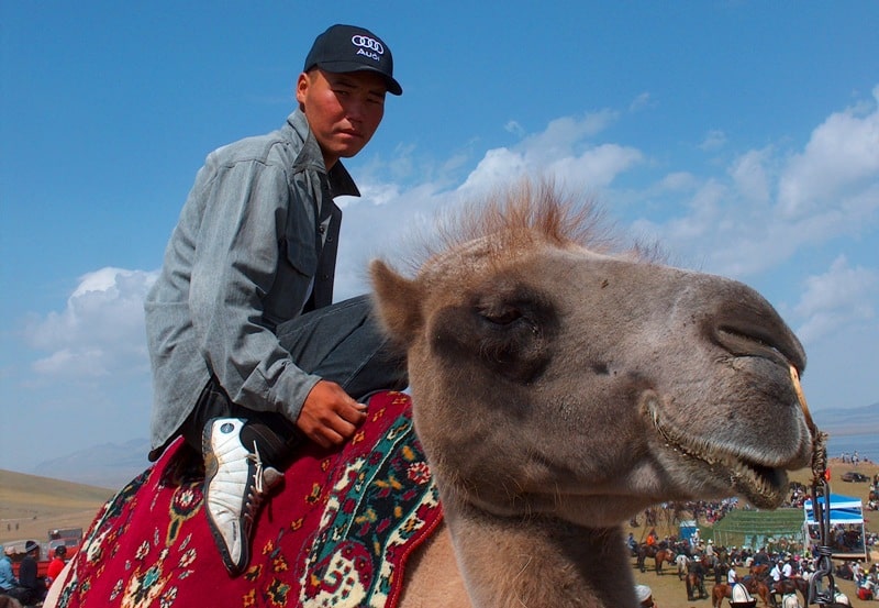 Киргизский пастух на верблюде.