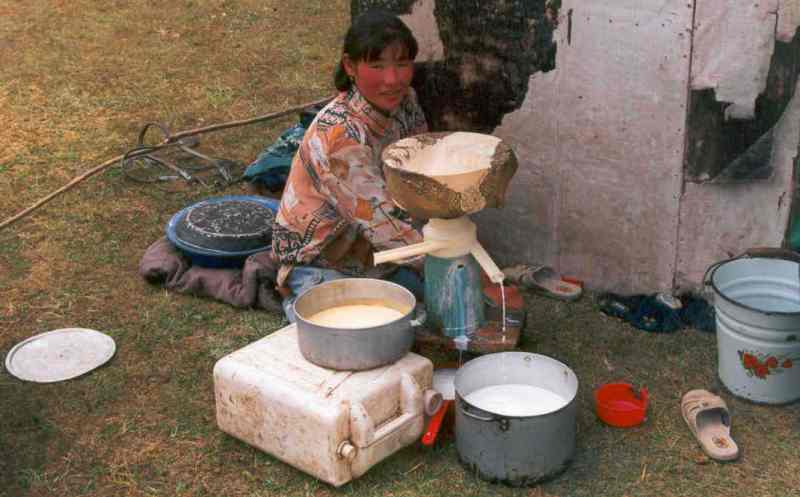Киргизская девушка пропускает молоко через сепаратор.