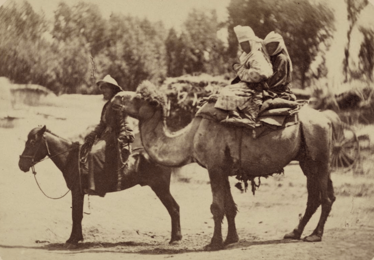 Уличные типы среднеазиатских городов. Мужчина на лошади рядом с двумя женщинами верхом на верблюде.