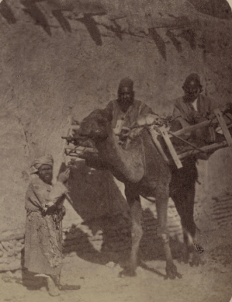 Уличные типы среднеазиатских городов. Трое мужчин с верблюдом.