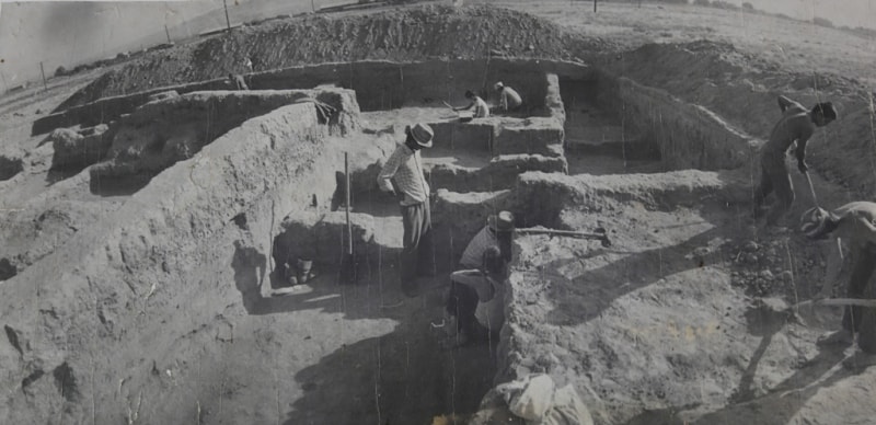 Археологические раскопки. 1984 год.