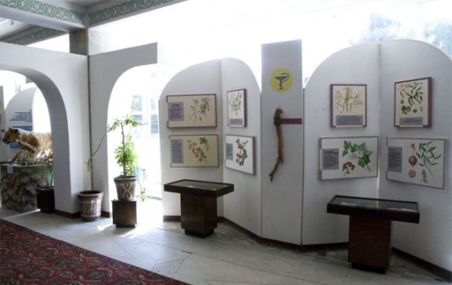 Экспозиция «Лечебные растения Северного Таджикистана».