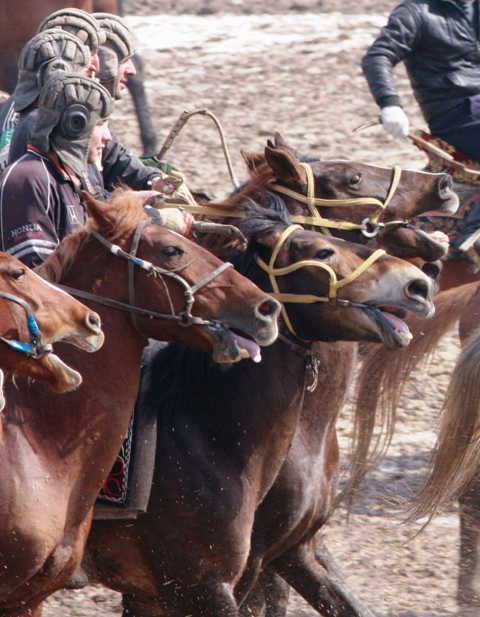 Лошади мечутся в одном порыве, всадник инстинктивно управляет лошадью, на самом деле управление, это общее движение массы.