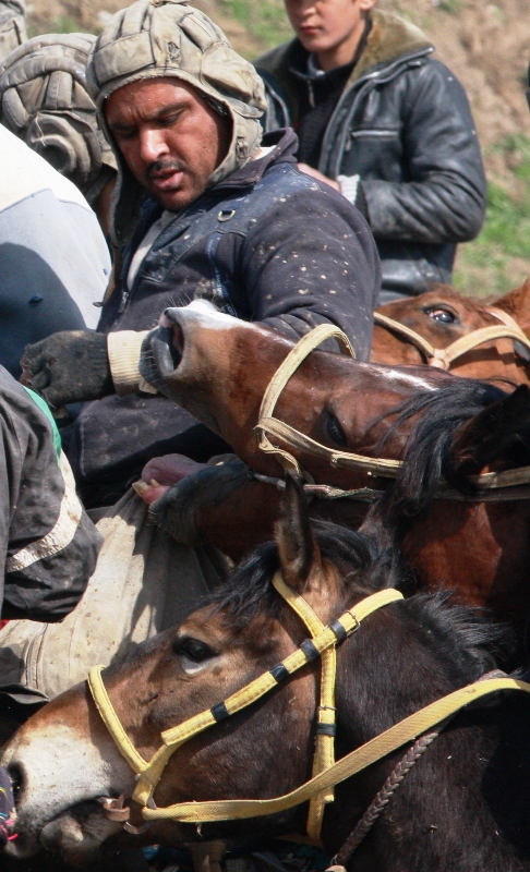 Бузкаши, это соревнование по русски называется  "козлодрание". Это национальная конная игра кочевников Средней Азии, известная еще со времен Чингисхана.  Постепенно она стала и любимой игрой земледельцев. 