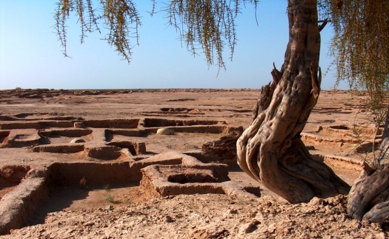 Site of ancient settlement Gonur-depe. 