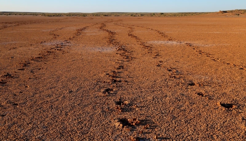 Takyr soil of Central Asia.