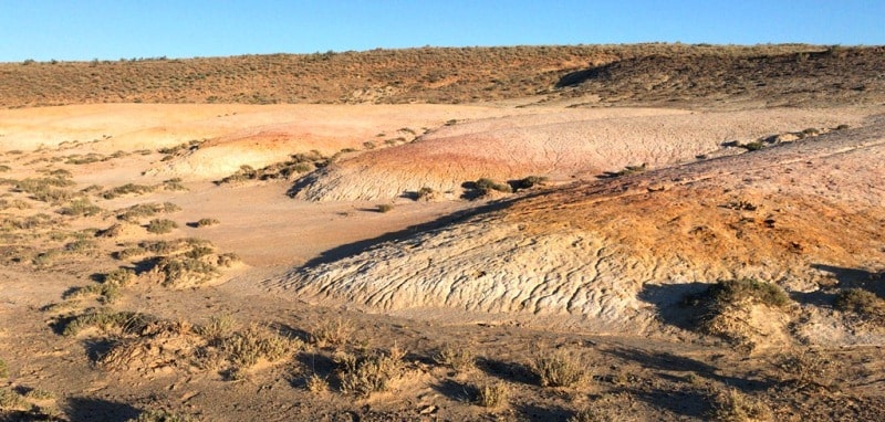 Takyr soil of Central Asia.