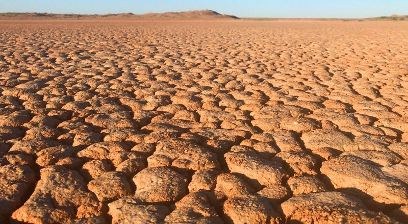 Takyr soil of Central Asia.