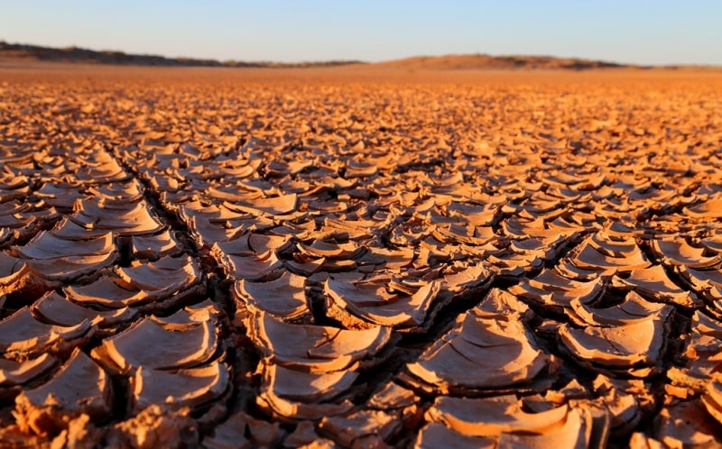 Takyr soil of Central Asia.