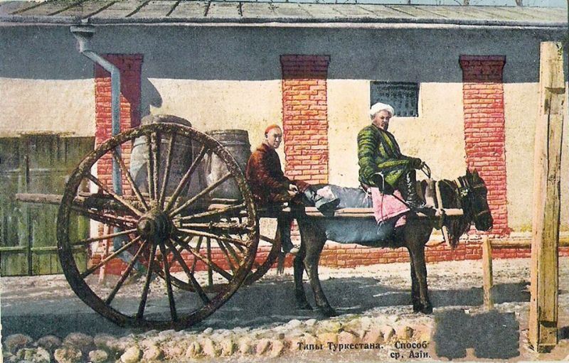 A bullock cart in Samarkand. 1903.