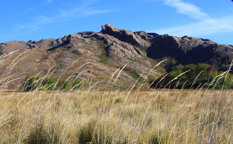 Steppes of Central Kazakhstan border mountains covered with pine forests.