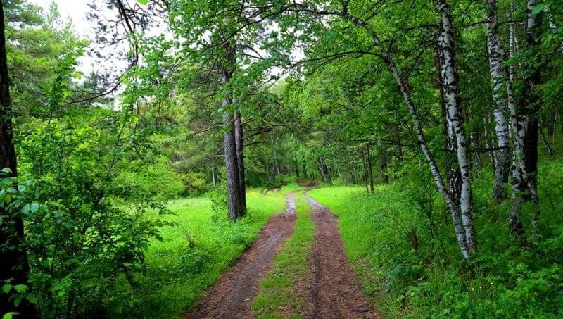 Road leading to parking lot before hike to Lake Shaitankol.