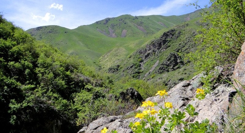  The environs of Uzun-Kargaly gorge.