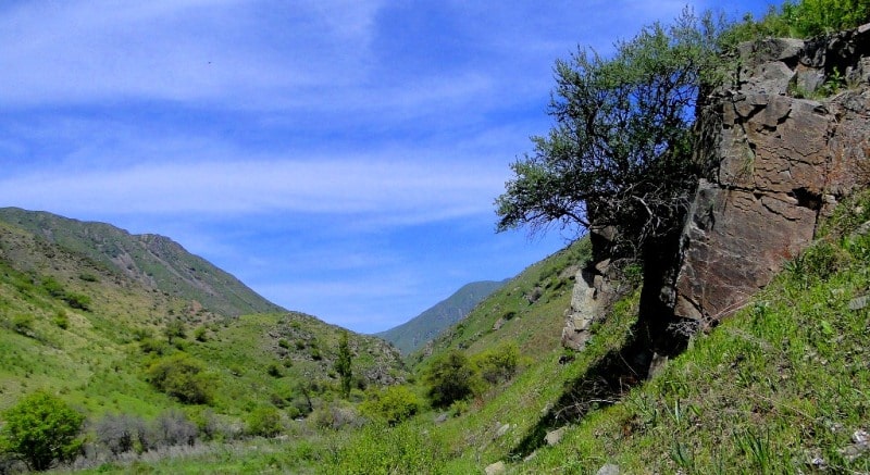  The environs of Uzun-Kargaly gorge.