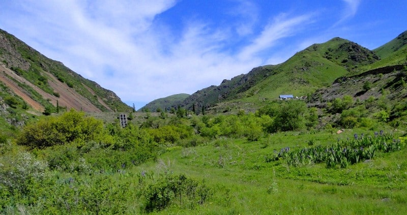  The environs of Uzun-Kargaly gorge.