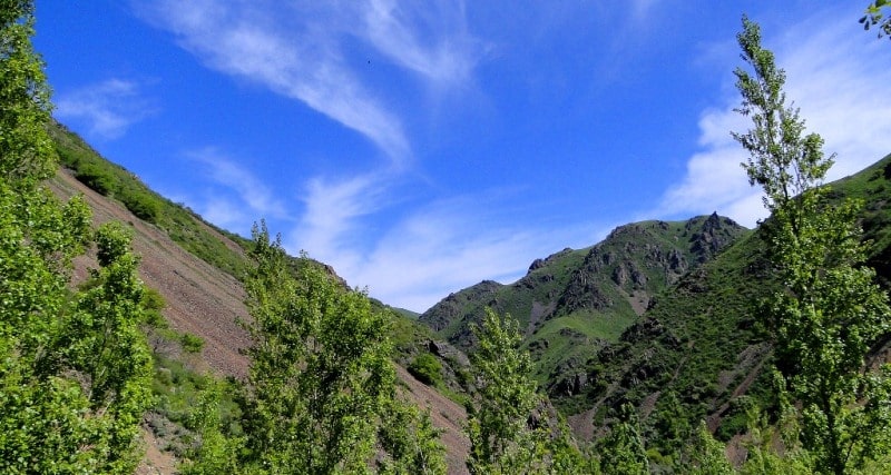  The environs of Uzun-Kargaly gorge.