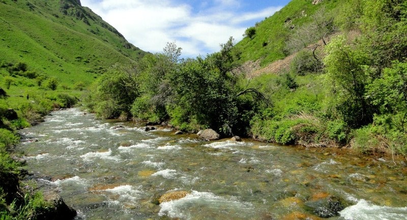  The environs of Uzun-Kargaly gorge.