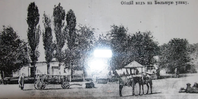 General view of Bolshaya Street. Late XIXth - early XXth century. Photographer unknown.