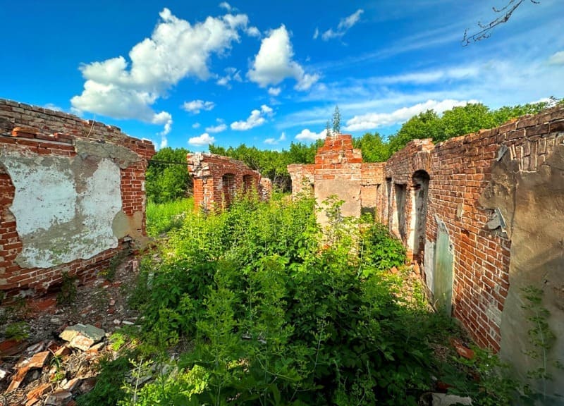 Остатки дома Кладеновых в Пресногорьковке. 2023 г. 