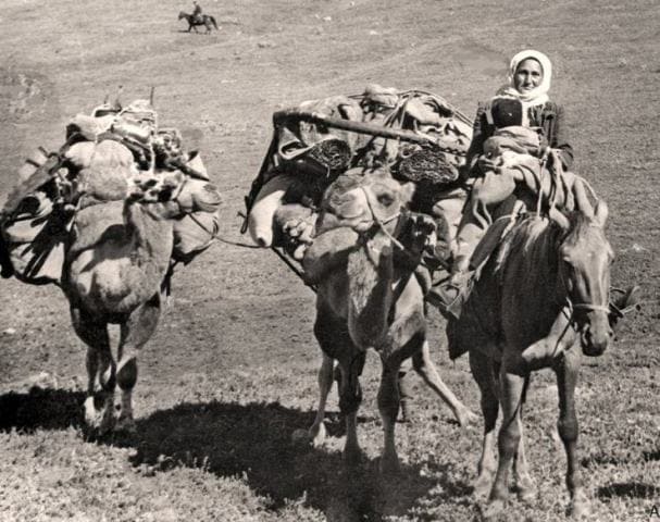 Nomadic camping on a high-mountain dzhailau. Dzhambul region. 1950s. Photo by Almas Ordabaev.