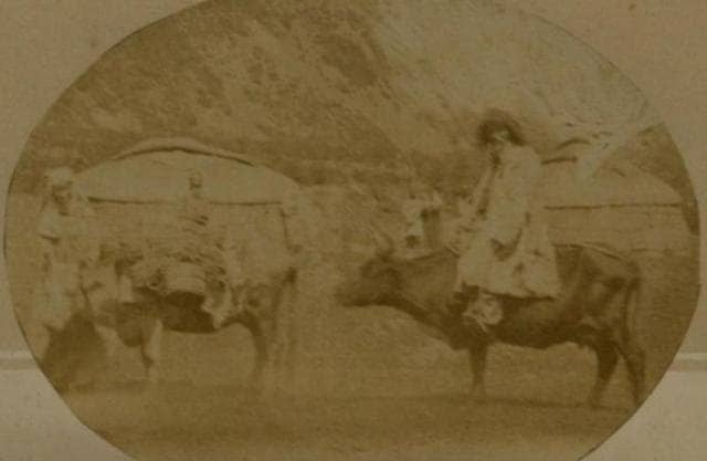 Migration. Photo by L.K. Poltoratskaya. 1870s.