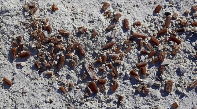 Ископаемые остатки в известняке, обнаруженные на меловой гряде Актолагай в Актюбинской и Атырауской областях. Находки представляют собой мелкие, коричневатые, кристаллические или фрагментированные образования, встроенные в светлую породу. Эти находки уникальны.