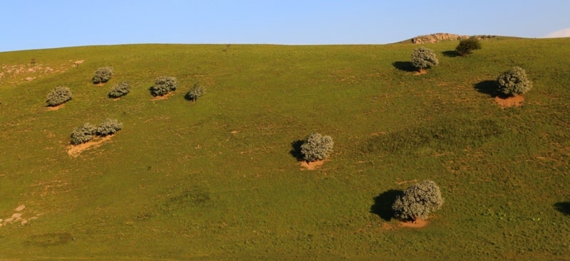 Environs around cave man site Karaungir.