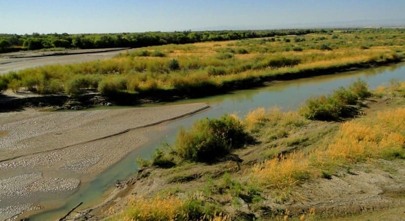Environs of the Ili Delta.