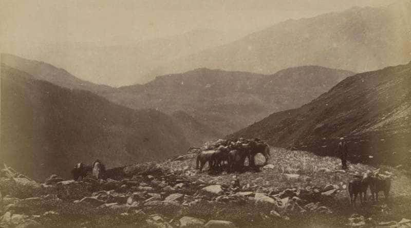 View from the pass between Chernaya and Belaya Berel. Photo by L.K. Poltoratskaya. 1870s.