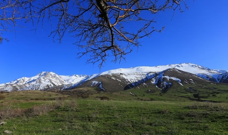 A foothill plain on northern slope of Talas Alatau.