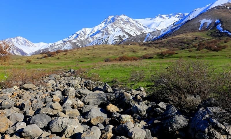A qorum on northern slope of Talas Alatau.