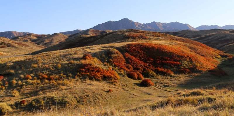 Altyn-Emel Mountains are an intermediate link in a mountain range that extends from southwest to northeast, consisting of several mountain ranges, from west to east: Sholak, Degeres, Matai, Orikty, Ulkili, Buguly, Koyandy-Tau, Suat-Tau, and Yrgayly.