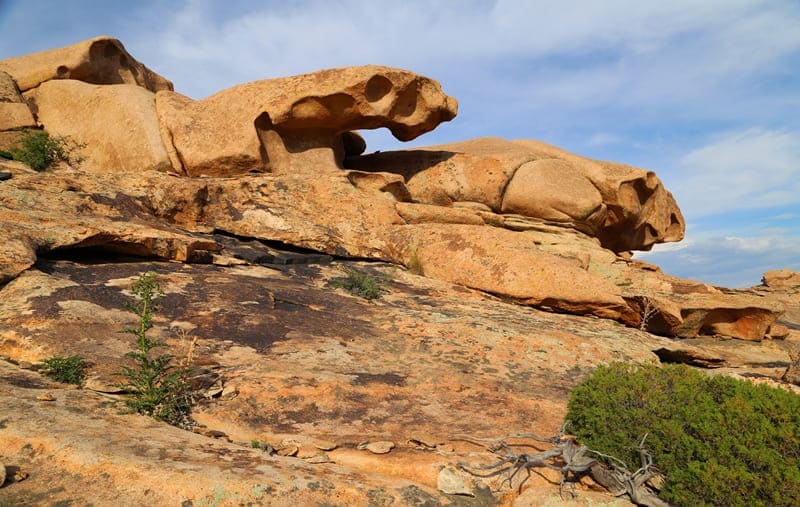Entire complex consists of unique stone "petals" and intricate curves created by nature, making it resemble an alien landscape.